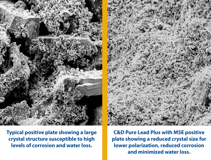 Pure Lead Plate Comparison
